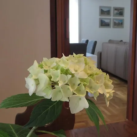 Appartement Hisa Lescer