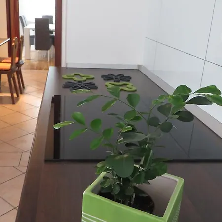 Hisa Lescer Appartement Kobarid