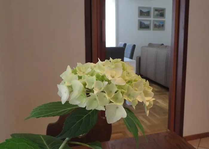 Apartament Hisa Lescer